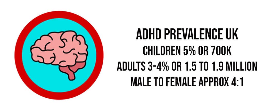 ADHD Prevalence